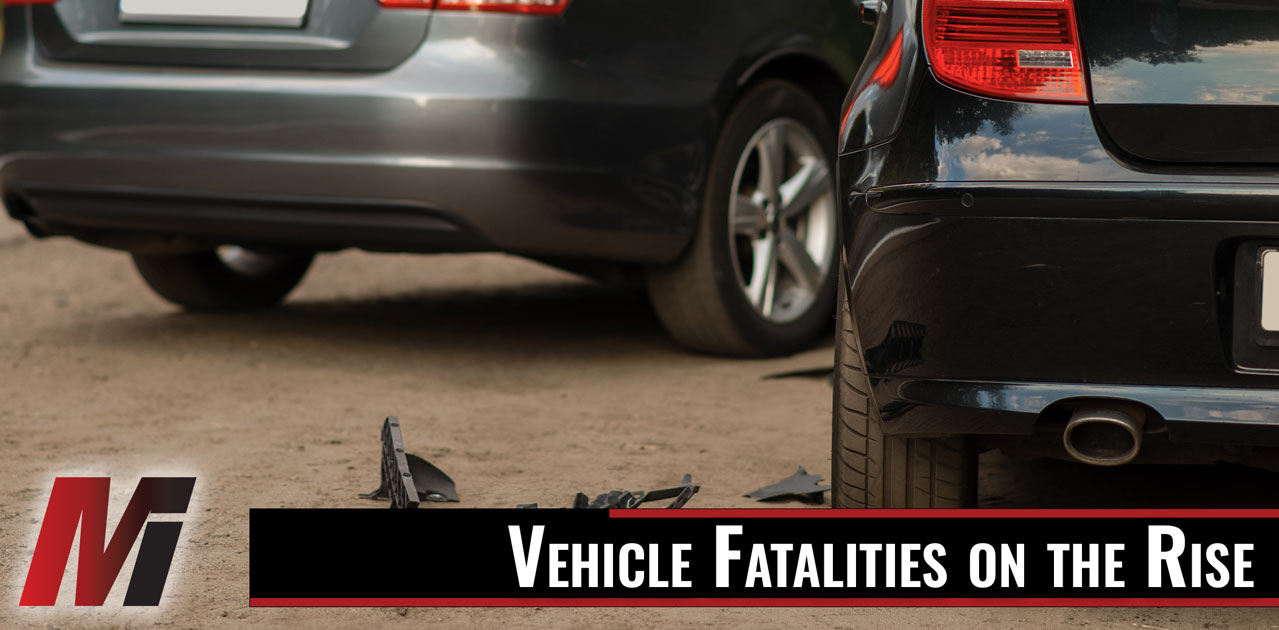 vehicle fatality stats