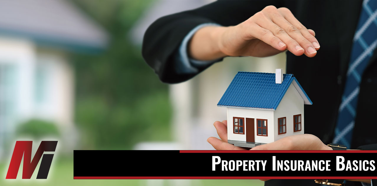 property insurance basics
